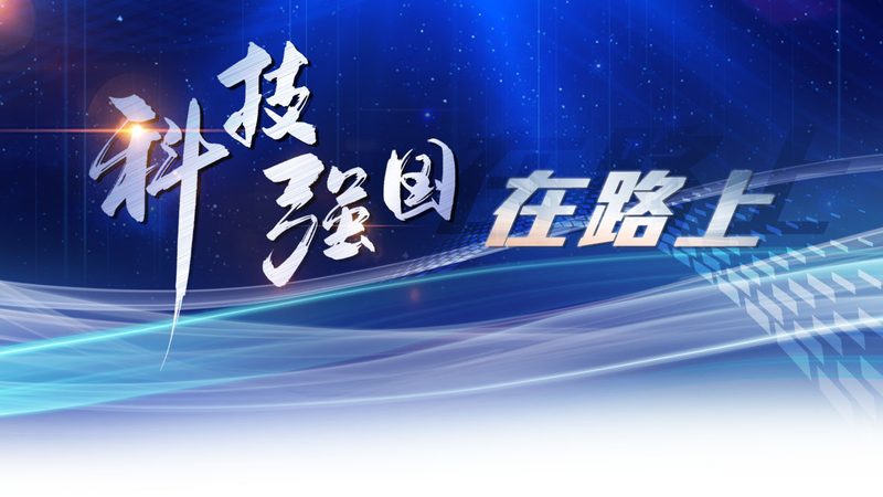 企业搜索安全配置：构建安全高效的搜索生态**